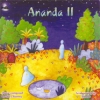 Ananda II